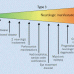 Gaucher types