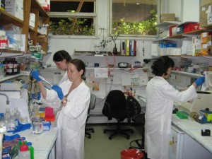 Einat Vitner and colleagues working in the lab at the Weizmann Institute of Science